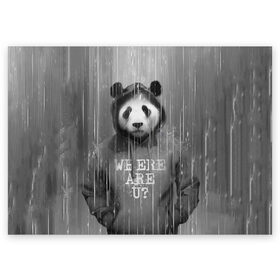 Поздравительная открытка с принтом Панда в Кировске, 100% бумага | плотность бумаги 280 г/м2, матовая, на обратной стороне линовка и место для марки
 | Тематика изображения на принте: дождь | животные | капюшон | кофта | медведь | мишка | панда | природа | хипстер