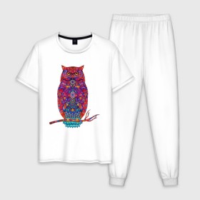 Мужская пижама хлопок с принтом Магическая сова в Кировске, 100% хлопок | брюки и футболка прямого кроя, без карманов, на брюках мягкая резинка на поясе и по низу штанин
 | 