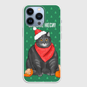 Чехол для iPhone 13 Pro с принтом Кот хочет кушот в Кировске,  |  | кот | кушот | новый год | оливье | толстый кот