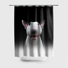 Штора 3D для ванной с принтом Oh snap! в Кировске, 100% полиэстер | плотность материала — 100 г/м2. Стандартный размер — 146 см х 180 см. По верхнему краю — пластиковые люверсы для креплений. В комплекте 10 пластиковых колец | bull terrier | dog |   | бультерьер | собака