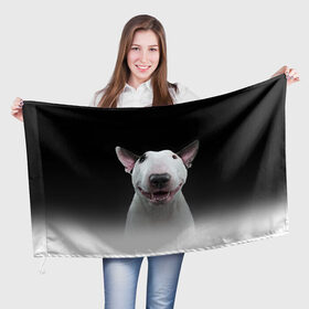 Флаг 3D с принтом Oh snap! в Кировске, 100% полиэстер | плотность ткани — 95 г/м2, размер — 67 х 109 см. Принт наносится с одной стороны | bull terrier | dog |   | бультерьер | собака