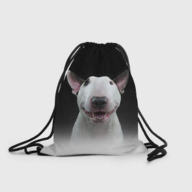 Рюкзак-мешок 3D с принтом Oh snap! в Кировске, 100% полиэстер | плотность ткани — 200 г/м2, размер — 35 х 45 см; лямки — толстые шнурки, застежка на шнуровке, без карманов и подкладки | bull terrier | dog |   | бультерьер | собака