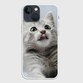 Чехол для iPhone 13 mini с принтом Котенок в Кировске,  |  | голова | животные | кот | котенок | котик | кошка | мордочка | природа | язык