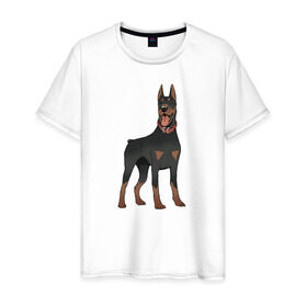 Мужская футболка хлопок с принтом Доберман в Кировске, 100% хлопок | прямой крой, круглый вырез горловины, длина до линии бедер, слегка спущенное плечо. | doberman | dobermann | dog | доберман | собака | собаки