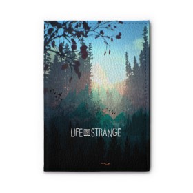 Обложка для автодокументов с принтом Life is Strange в Кировске, натуральная кожа |  размер 19,9*13 см; внутри 4 больших “конверта” для документов и один маленький отдел — туда идеально встанут права | caulfield | chloe price | game | kate marsh | life | life is strange | life is strange: before the storm | max | strange | две луны | игры | кейт марш | колфилд | макс | подростки | студенты