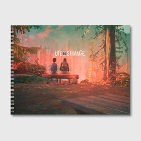 Альбом для рисования с принтом Life is Strange в Кировске, 100% бумага
 | матовая бумага, плотность 200 мг. | caulfield | chloe price | game | kate marsh | life | life is strange | life is strange: before the storm | max | strange | две луны | игры | кейт марш | колфилд | макс | подростки | студенты