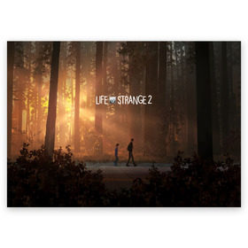 Поздравительная открытка с принтом Life is Strange в Кировске, 100% бумага | плотность бумаги 280 г/м2, матовая, на обратной стороне линовка и место для марки
 | caulfield | chloe price | game | kate marsh | life | life is strange | life is strange: before the storm | max | strange | две луны | игры | кейт марш | колфилд | макс | подростки | студенты