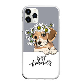 Чехол для iPhone 11 Pro матовый с принтом Best friend в Кировске, Силикон |  | backgroun | best | breed | daisies | dog | flowers | friend | green | kid | puppy | wreath | венок | графика | друг | зелёный | картинка | красивый | крутой | лучший | малыш | мода | модный | молодёжная | порода | рисунок | ромашки | собака