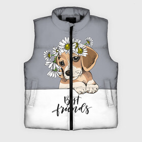 Мужской жилет утепленный 3D с принтом Best friend в Кировске,  |  | backgroun | best | breed | daisies | dog | flowers | friend | green | kid | puppy | wreath | венок | графика | друг | зелёный | картинка | красивый | крутой | лучший | малыш | мода | модный | молодёжная | порода | рисунок | ромашки | собака