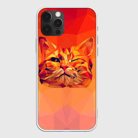 Чехол для iPhone 12 Pro Max с принтом Подмигивающий кот (Low Poly) в Кировске, Силикон |  | cat | fox | kitty | low | lowpoly | poly | веселая | геометрия | грозовой кошак | желтая | кот | котейка | котофей | кошак | лиса | любителям кошек | низкополигональный | позитив | прикольная | рисунок | рыжая | узор
