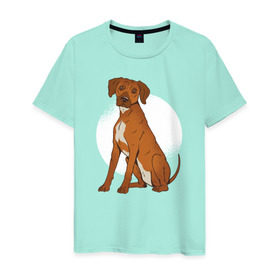 Мужская футболка хлопок с принтом Родезийский риджбек в Кировске, 100% хлопок | прямой крой, круглый вырез горловины, длина до линии бедер, слегка спущенное плечо. | rhodesian ridgeback | ridgeback | риджбек | собака | собаки