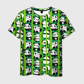 Мужская футболка 3D с принтом Медведи панда в Кировске, 100% полиэфир | прямой крой, круглый вырез горловины, длина до линии бедер | animals | bamboo | bears | branches | funny | panda | trees | аниме | бамбук | весёлые | ветки | графика | деревья | животные | зелёный | искусство | картинка | красивый | крутой | малыши | медведи | мода | модный | молодёжная