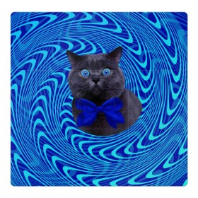 Магнитный плакат 3Х3 с принтом Гипнотический кот в Кировске, Полимерный материал с магнитным слоем | 9 деталей размером 9*9 см | Тематика изображения на принте: big | арт | крупные арты | крупные принты | сумасшедшие арты
