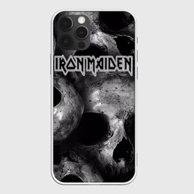 Чехол для iPhone 12 Pro с принтом Iron Maiden в Кировске, силикон | область печати: задняя сторона чехла, без боковых панелей | бас | британия | брюс дикинсон | гитара | группа | дева | железная | метал | нико макбрэйн | рок | стив харрис | хеви | яник герс