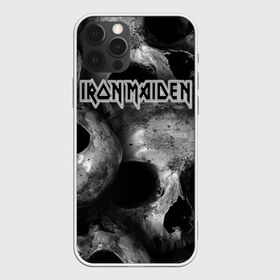 Чехол для iPhone 12 Pro Max с принтом Iron Maiden в Кировске, Силикон |  | бас | британия | брюс дикинсон | гитара | группа | дева | железная | метал | нико макбрэйн | рок | стив харрис | хеви | яник герс