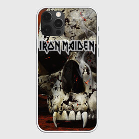 Чехол для iPhone 12 Pro с принтом Iron Maiden в Кировске, силикон | область печати: задняя сторона чехла, без боковых панелей | бас | британия | брюс дикинсон | гитара | группа | дева | железная | метал | нико макбрэйн | рок | стив харрис | хеви | яник герс