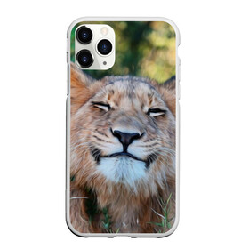 Чехол для iPhone 11 Pro матовый с принтом Улыбка львицы в Кировске, Силикон |  | голова | животные | кот | кошка | лев | лицо | львица | прикол | прикольные | природа | смешные | тигр | тигрица | улыбается | улыбка | юмор