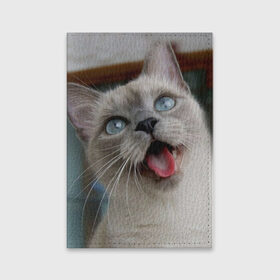 Обложка для паспорта матовая кожа с принтом Сиамский котенок в Кировске, натуральная матовая кожа | размер 19,3 х 13,7 см; прозрачные пластиковые крепления | Тематика изображения на принте: животные | кот | котенок | котик | кошечка | кошка | милый | мордочка | показывает язык | прикол | серый | сиамская | сиамская кошка | сиамский котенок | юмор | язык