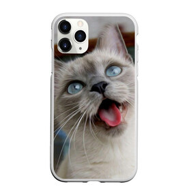 Чехол для iPhone 11 Pro матовый с принтом Сиамский котенок в Кировске, Силикон |  | животные | кот | котенок | котик | кошечка | кошка | милый | мордочка | показывает язык | прикол | серый | сиамская | сиамская кошка | сиамский котенок | юмор | язык