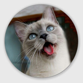 Коврик круглый с принтом Сиамский котенок в Кировске, резина и полиэстер | круглая форма, изображение наносится на всю лицевую часть | животные | кот | котенок | котик | кошечка | кошка | милый | мордочка | показывает язык | прикол | серый | сиамская | сиамская кошка | сиамский котенок | юмор | язык
