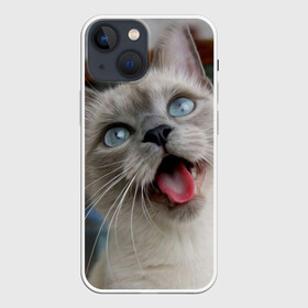 Чехол для iPhone 13 mini с принтом Сиамский котенок в Кировске,  |  | животные | кот | котенок | котик | кошечка | кошка | милый | мордочка | показывает язык | прикол | серый | сиамская | сиамская кошка | сиамский котенок | юмор | язык
