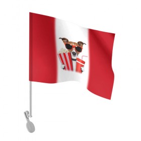 Флаг для автомобиля с принтом собака-киноман в Кировске, 100% полиэстер | Размер: 30*21 см | кино | отдых | очки | попкорн | собака | телефон | терьер
