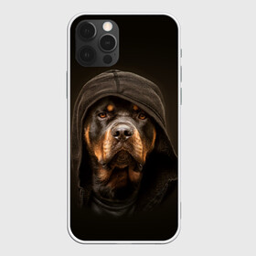 Чехол для iPhone 12 Pro Max с принтом Ротвейлер в капюшоне в Кировске, Силикон |  | Тематика изображения на принте: rottweiler | капюшон | молоссы | пастух | пёс | собака | щенок
