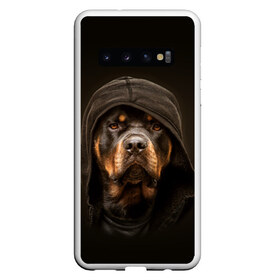 Чехол для Samsung Galaxy S10 с принтом Ротвейлер в капюшоне в Кировске, Силикон | Область печати: задняя сторона чехла, без боковых панелей | Тематика изображения на принте: rottweiler | капюшон | молоссы | пастух | пёс | собака | щенок