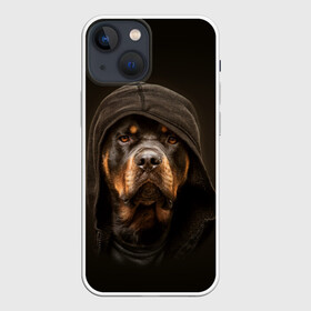 Чехол для iPhone 13 mini с принтом Ротвейлер в капюшоне в Кировске,  |  | Тематика изображения на принте: rottweiler | капюшон | молоссы | пастух | пёс | собака | щенок