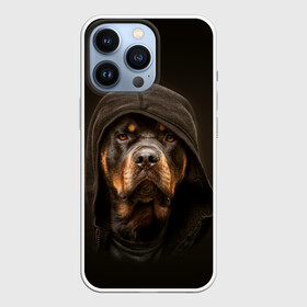 Чехол для iPhone 13 Pro с принтом Ротвейлер в капюшоне в Кировске,  |  | Тематика изображения на принте: rottweiler | капюшон | молоссы | пастух | пёс | собака | щенок