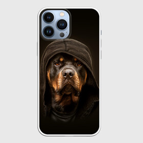 Чехол для iPhone 13 Pro Max с принтом Ротвейлер в капюшоне в Кировске,  |  | rottweiler | капюшон | молоссы | пастух | пёс | собака | щенок