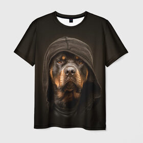 Мужская футболка 3D с принтом Ротвейлер в капюшоне в Кировске, 100% полиэфир | прямой крой, круглый вырез горловины, длина до линии бедер | Тематика изображения на принте: rottweiler | капюшон | молоссы | пастух | пёс | собака | щенок