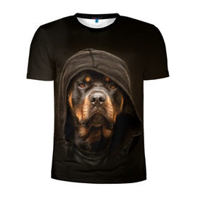 Мужская футболка 3D спортивная с принтом Ротвейлер в капюшоне в Кировске, 100% полиэстер с улучшенными характеристиками | приталенный силуэт, круглая горловина, широкие плечи, сужается к линии бедра | rottweiler | капюшон | молоссы | пастух | пёс | собака | щенок