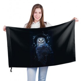 Флаг 3D с принтом сова в Кировске, 100% полиэстер | плотность ткани — 95 г/м2, размер — 67 х 109 см. Принт наносится с одной стороны | owl | ночь | птица | сова | филин
