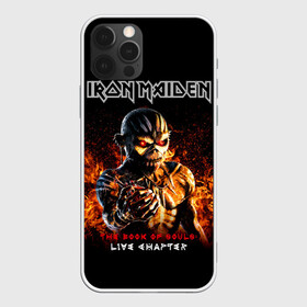 Чехол для iPhone 12 Pro Max с принтом Iron Maiden в Кировске, Силикон |  | Тематика изображения на принте: heavy metal | iron maiden | metal | айрон мейден | группы | метал | музыка | рок | хеви метал