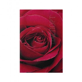 Обложка для паспорта матовая кожа с принтом Бутон алой розы в Кировске, натуральная матовая кожа | размер 19,3 х 13,7 см; прозрачные пластиковые крепления | Тематика изображения на принте: 8 | day | flower | flowers | international | nature | pud | rose | roses | womens | бутон | день | женский | марта | международный | природа | растение | роза | розы | цветок | цветы
