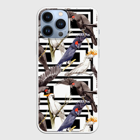 Чехол для iPhone 13 Pro Max с принтом Попугаи какаду в Кировске,  |  | birds | bri | cockatoo | exotic | jungle | palm | parrots | tropical | акварель | геометрический | графика | джунгли | иллюстрация | картинка | мода | молодежная | орнамент | пальмы | попугаи | птицы | рисунок | стиль