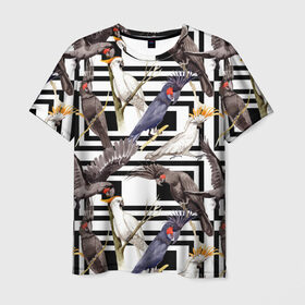 Мужская футболка 3D с принтом Попугаи какаду в Кировске, 100% полиэфир | прямой крой, круглый вырез горловины, длина до линии бедер | birds | bri | cockatoo | exotic | jungle | palm | parrots | tropical | акварель | геометрический | графика | джунгли | иллюстрация | картинка | мода | молодежная | орнамент | пальмы | попугаи | птицы | рисунок | стиль