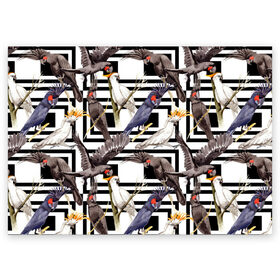 Поздравительная открытка с принтом Попугаи какаду в Кировске, 100% бумага | плотность бумаги 280 г/м2, матовая, на обратной стороне линовка и место для марки
 | birds | bri | cockatoo | exotic | jungle | palm | parrots | tropical | акварель | геометрический | графика | джунгли | иллюстрация | картинка | мода | молодежная | орнамент | пальмы | попугаи | птицы | рисунок | стиль