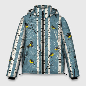 Мужская зимняя куртка 3D с принтом Синички на берёзах в Кировске, верх — 100% полиэстер; подкладка — 100% полиэстер; утеплитель — 100% полиэстер | длина ниже бедра, свободный силуэт Оверсайз. Есть воротник-стойка, отстегивающийся капюшон и ветрозащитная планка. 

Боковые карманы с листочкой на кнопках и внутренний карман на молнии. | Тематика изображения на принте: bir | birds | branches | fly | sit | tits | акварель | берёзы | ветки | графика | зима | идёт | иллюстрация | картинка | кузнечик | летят | мода | молодежная | мороз | новый год | птицы | рисунок | рождество | сидят | синий