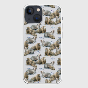 Чехол для iPhone 13 mini с принтом Моржи в Кировске,  |  | animals | big | f | fangs | fish | fishing | ice | lie | northern | snow | style | walruses | wild | youth | большие | графика | дикие | животные | иллюстрация | картинка | клыки | лёд | лежат | мода | молодежная | моржи | рисунок | рыба | рыбалка