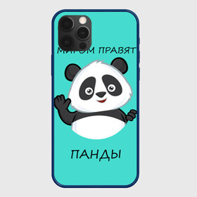 Чехол для iPhone 12 Pro Max с принтом ПАНДА в Кировске, Силикон |  | bear | panda | the world is ruled by pandas | животное | медведь | мир | панда | правят панды | приветы | просто красавчик