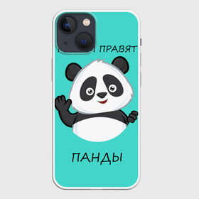 Чехол для iPhone 13 mini с принтом ПАНДА в Кировске,  |  | Тематика изображения на принте: bear | panda | the world is ruled by pandas | животное | медведь | мир | панда | правят панды | приветы | просто красавчик