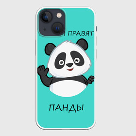 Чехол для iPhone 13 mini с принтом ПАНДА в Кировске,  |  | bear | panda | the world is ruled by pandas | животное | медведь | мир | панда | правят панды | приветы | просто красавчик