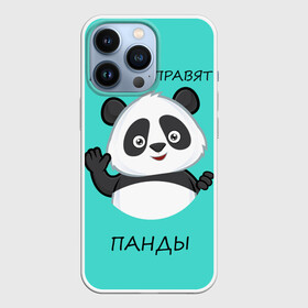 Чехол для iPhone 13 Pro с принтом ПАНДА в Кировске,  |  | Тематика изображения на принте: bear | panda | the world is ruled by pandas | животное | медведь | мир | панда | правят панды | приветы | просто красавчик
