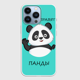 Чехол для iPhone 13 Pro с принтом ПАНДА в Кировске,  |  | bear | panda | the world is ruled by pandas | животное | медведь | мир | панда | правят панды | приветы | просто красавчик