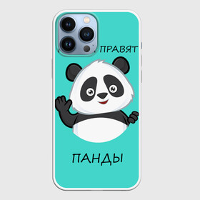 Чехол для iPhone 13 Pro Max с принтом ПАНДА в Кировске,  |  | bear | panda | the world is ruled by pandas | животное | медведь | мир | панда | правят панды | приветы | просто красавчик