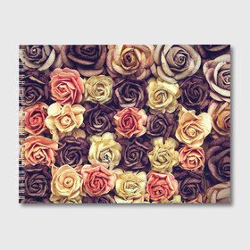 Альбом для рисования с принтом Шоколадные розы в Кировске, 100% бумага
 | матовая бумага, плотность 200 мг. | бабушке | девочке | девушке | дочке | желтые цветы | женщине | маме | подруге | природа | розовые цветы | розы | сестре | теще | тюльпаны | цветы