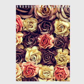 Скетчбук с принтом Шоколадные розы в Кировске, 100% бумага
 | 48 листов, плотность листов — 100 г/м2, плотность картонной обложки — 250 г/м2. Листы скреплены сверху удобной пружинной спиралью | бабушке | девочке | девушке | дочке | желтые цветы | женщине | маме | подруге | природа | розовые цветы | розы | сестре | теще | тюльпаны | цветы