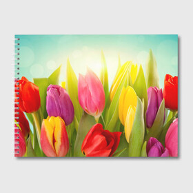 Альбом для рисования с принтом Тюльпаны в Кировске, 100% бумага
 | матовая бумага, плотность 200 мг. | бабушке | девочке | девушке | дочке | желтые цветы | женщине | маме | подруге | природа | розовые цветы | розы | сестре | теще | тюльпаны | цветы